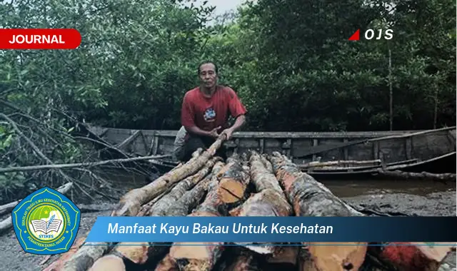 manfaat kayu bakau untuk kesehatan manfaat kayu bakau untuk kesehatan