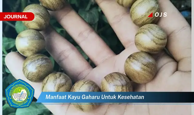 manfaat kayu gaharu untuk kesehatan manfaat kayu gaharu untuk kesehatan