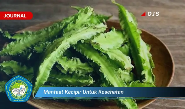 manfaat kecipir untuk kesehatan manfaat kecipir untuk kesehatan