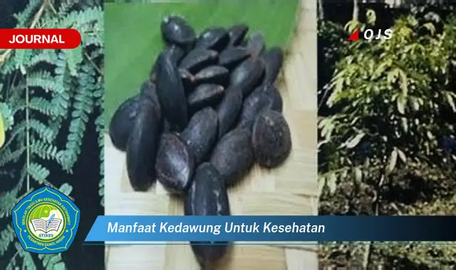 manfaat kedawung untuk kesehatan