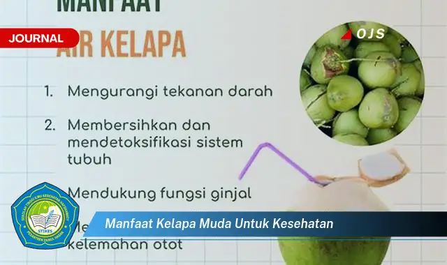 manfaat kelapa muda untuk kesehatan