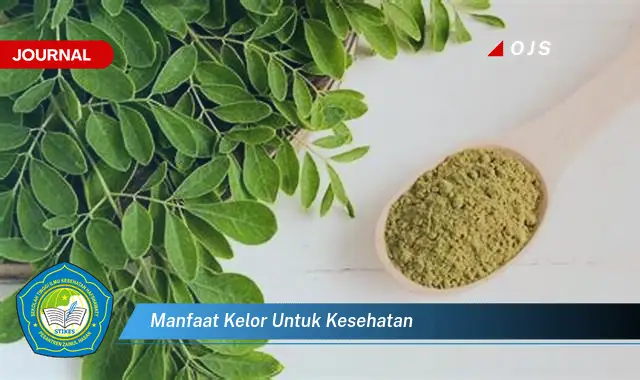manfaat kelor untuk kesehatan manfaat kelor untuk kesehatan