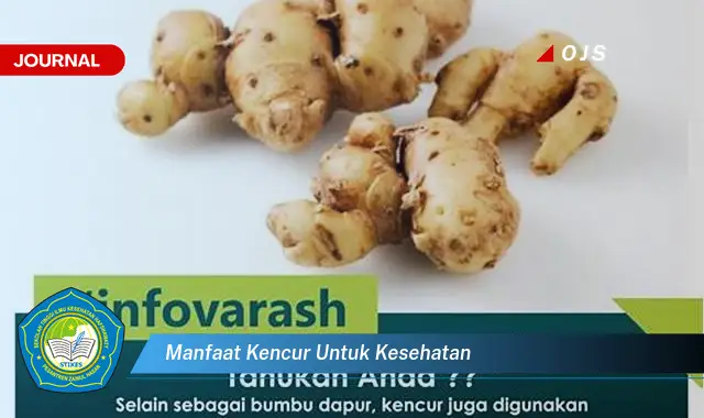 manfaat kencur untuk kesehatan