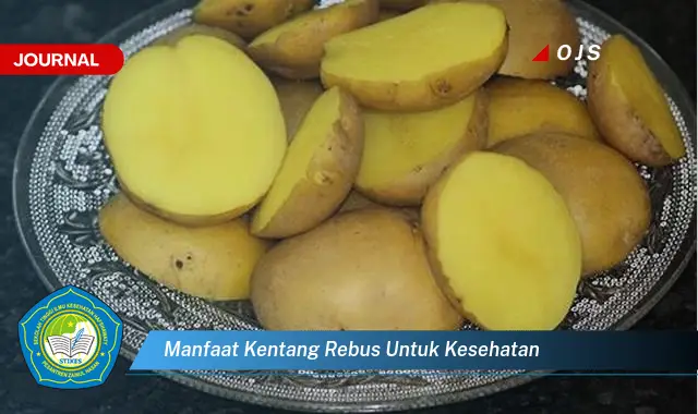 manfaat kentang rebus untuk kesehatan