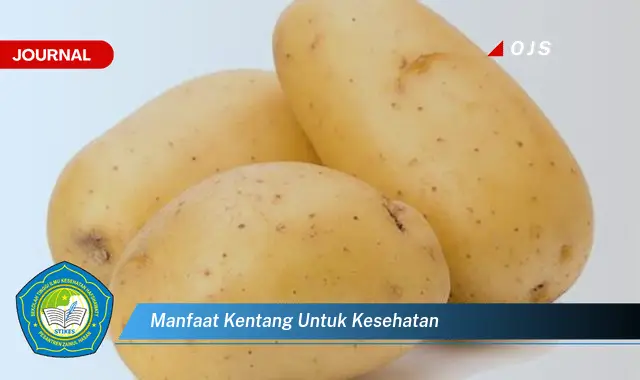 manfaat kentang untuk kesehatan