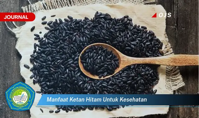 manfaat ketan hitam untuk kesehatan manfaat ketan hitam untuk kesehatan