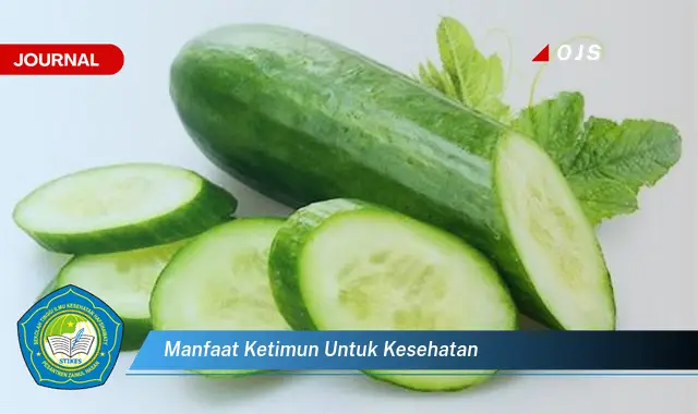 manfaat ketimun untuk kesehatan