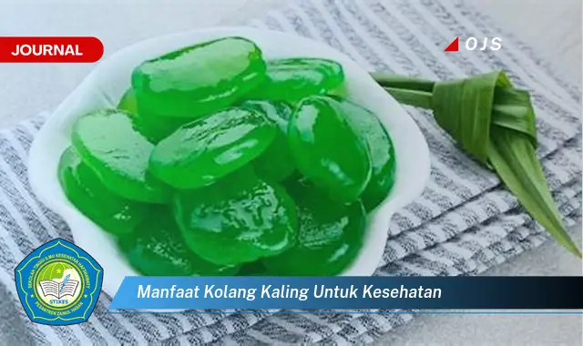 manfaat kolang kaling untuk kesehatan