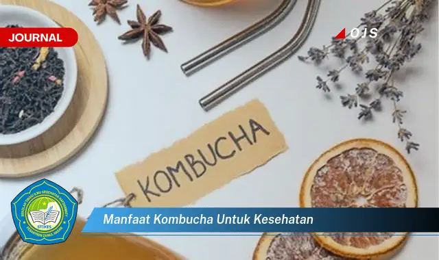 manfaat kombucha untuk kesehatan