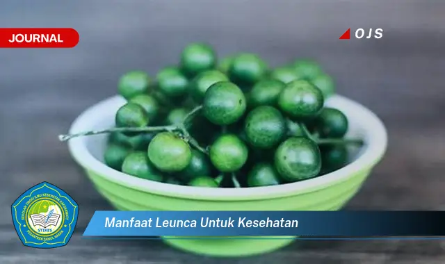 manfaat leunca untuk kesehatan