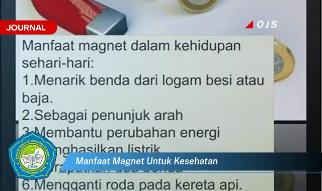 manfaat magnet untuk kesehatan manfaat magnet untuk kesehatan