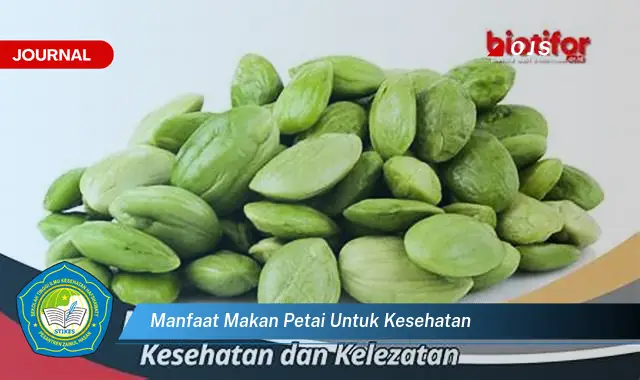 manfaat makan petai untuk kesehatan