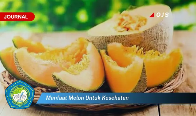 manfaat melon untuk kesehatan manfaat melon untuk kesehatan