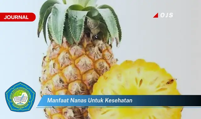 manfaat nanas untuk kesehatan