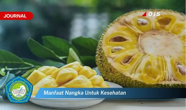 Temukan 6 Manfaat Nangka untuk Kesehatan yang Bikin Kamu Penasaran - E-Journal