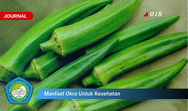 manfaat okra untuk kesehatan