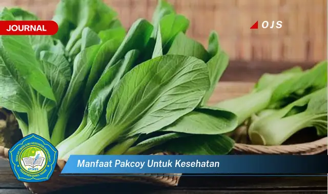 manfaat pakcoy untuk kesehatan manfaat pakcoy untuk kesehatan