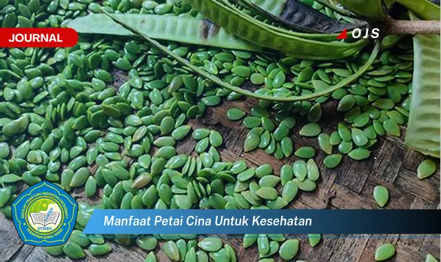 manfaat petai cina untuk kesehatan