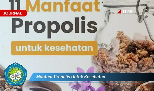 manfaat propolis untuk kesehatan