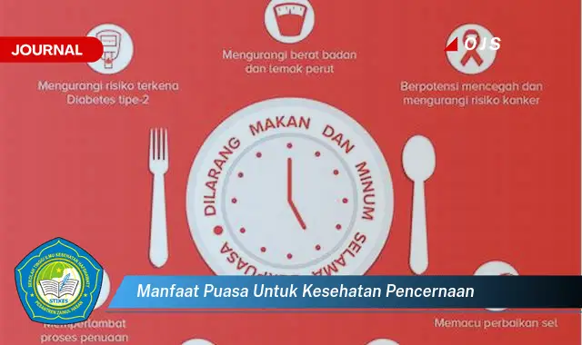 manfaat puasa untuk kesehatan pencernaan manfaat puasa untuk kesehatan pencernaan