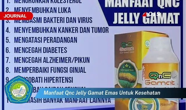 manfaat qnc jelly gamat emas untuk kesehatan manfaat qnc jelly gamat emas untuk kesehatan