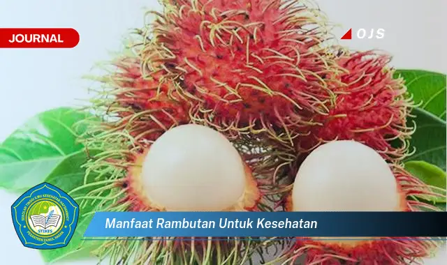 manfaat rambutan untuk kesehatan