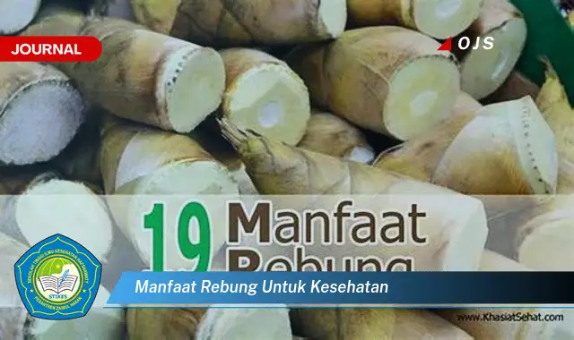 manfaat rebung untuk kesehatan manfaat rebung untuk kesehatan