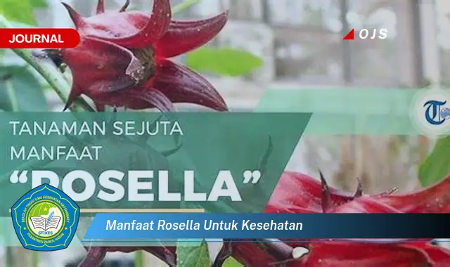 manfaat rosella untuk kesehatan