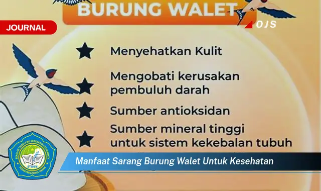 manfaat sarang burung walet untuk kesehatan