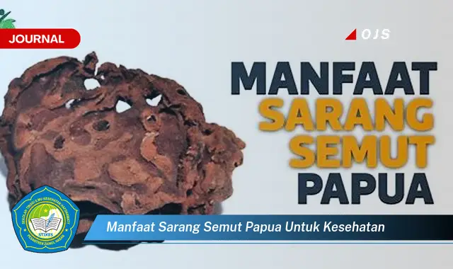 manfaat sarang semut papua untuk kesehatan