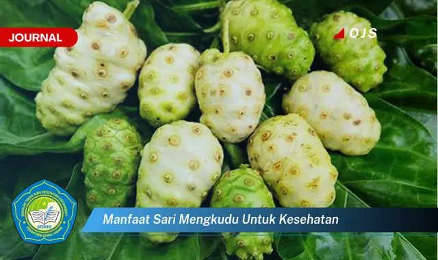 manfaat sari mengkudu untuk kesehatan