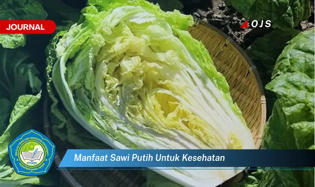 manfaat sawi putih untuk kesehatan