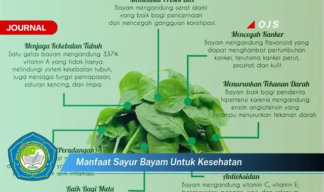 manfaat sayur bayam untuk kesehatan manfaat sayur bayam untuk kesehatan