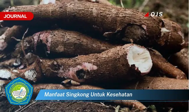manfaat singkong untuk kesehatan manfaat singkong untuk kesehatan