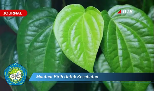 Temukan 6 Manfaat Daun Sirih untuk Kesehatan yang Wajib Kamu Intip! - E-Journal