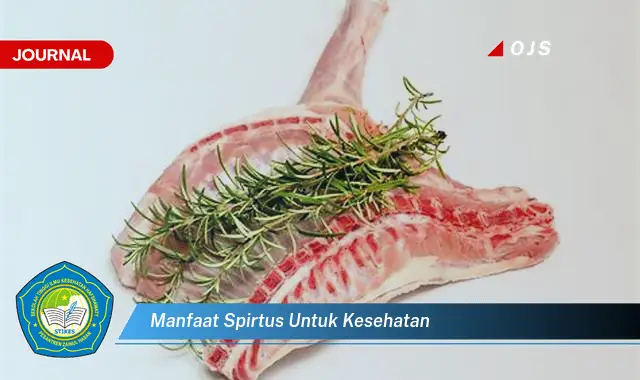 manfaat spirtus untuk kesehatan