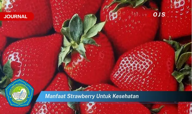 manfaat strawberry untuk kesehatan