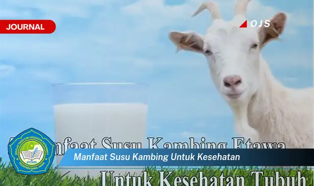 manfaat susu kambing untuk kesehatan manfaat susu kambing untuk kesehatan