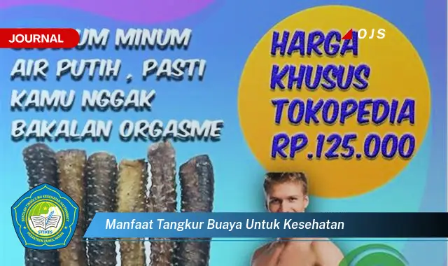 manfaat tangkur buaya untuk kesehatan manfaat tangkur buaya untuk kesehatan