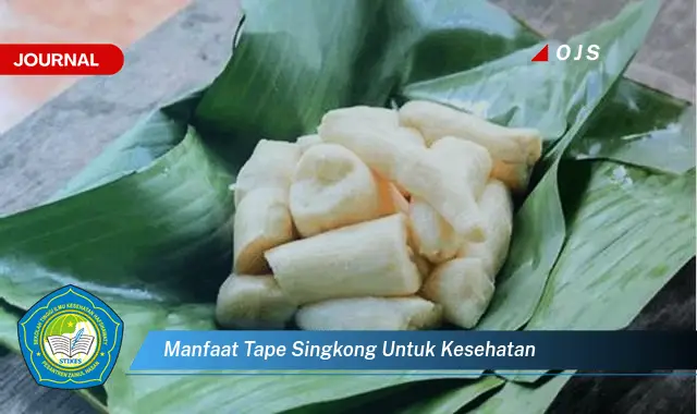 manfaat tape singkong untuk kesehatan