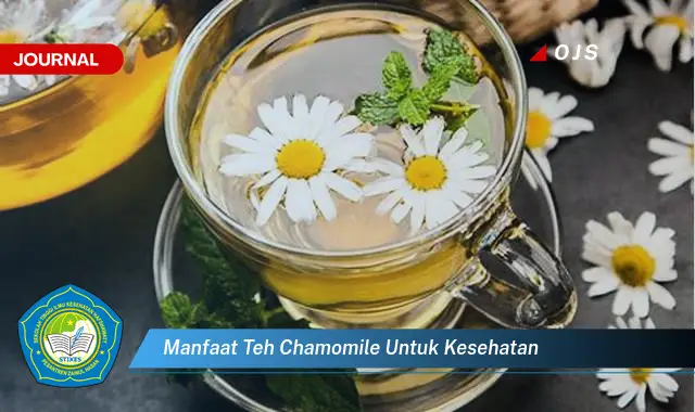 manfaat teh chamomile untuk kesehatan