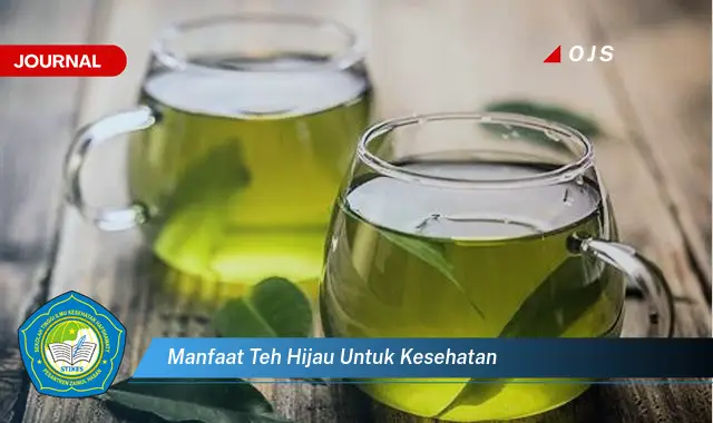 manfaat teh hijau untuk kesehatan manfaat teh hijau untuk kesehatan