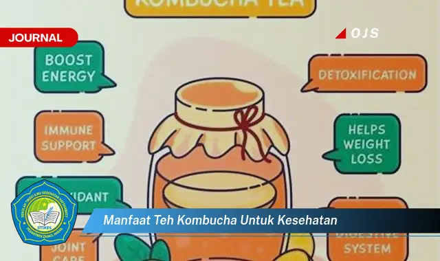 manfaat teh kombucha untuk kesehatan