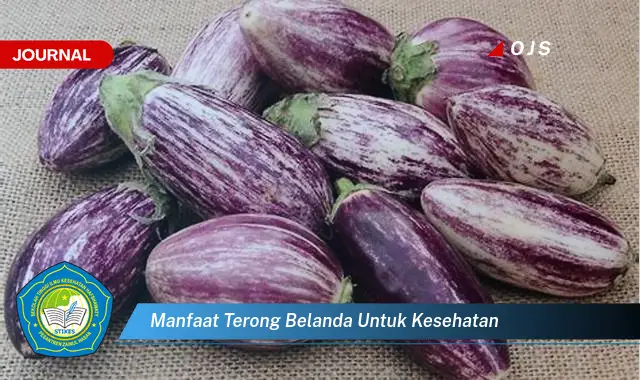 manfaat terong belanda untuk kesehatan