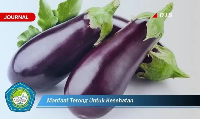 manfaat terong untuk kesehatan