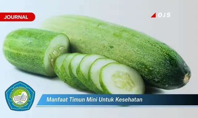 manfaat timun mini untuk kesehatan