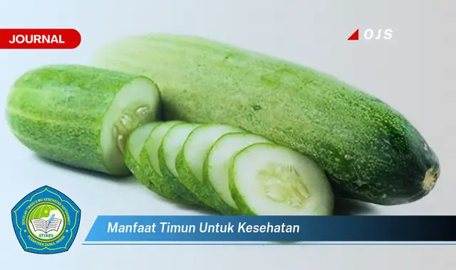 manfaat timun untuk kesehatan