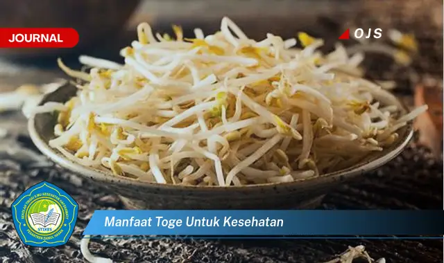 manfaat toge untuk kesehatan