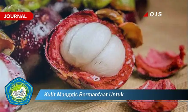 kulit manggis bermanfaat untuk