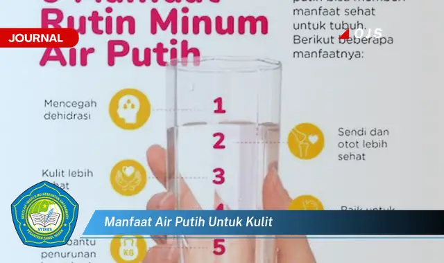 manfaat air putih untuk kulit